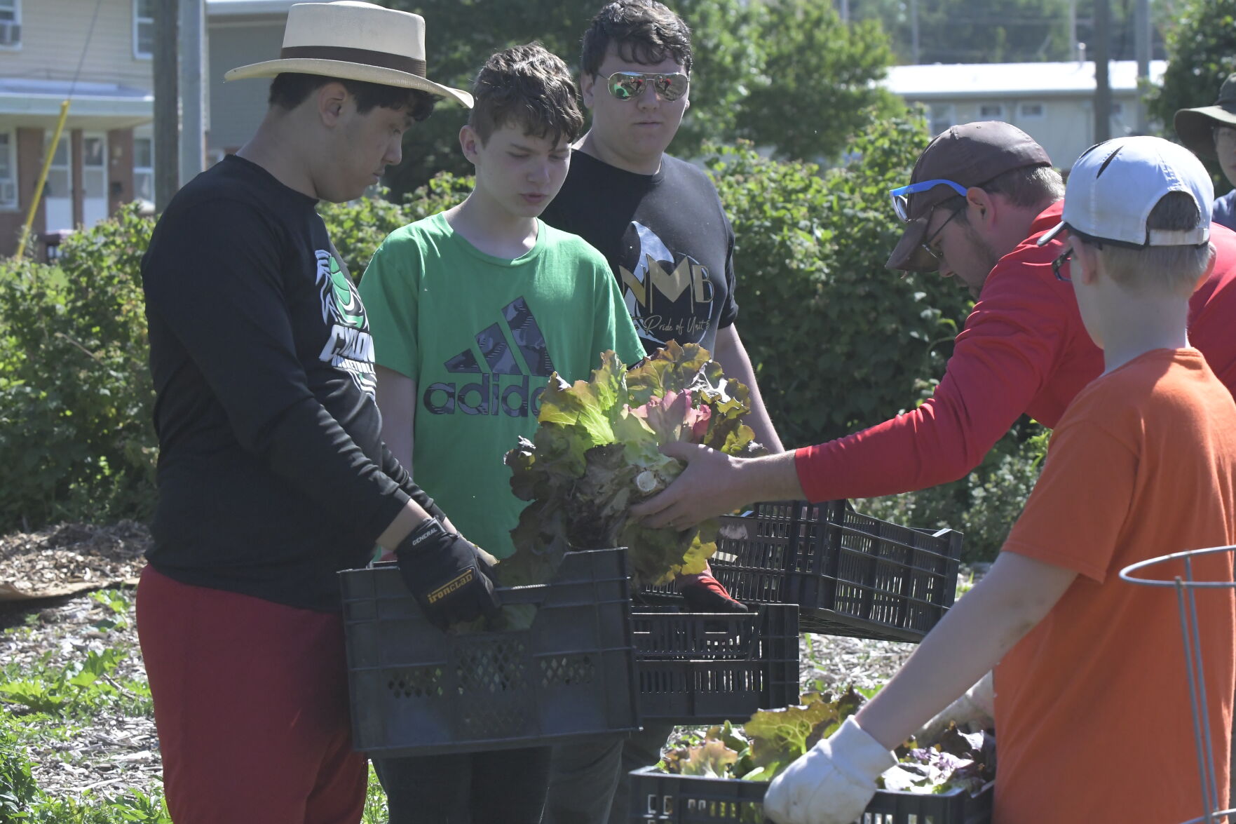 Sunnyside Community Garden and Food Forest